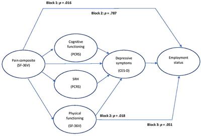 Employment Status Among U.S. Military Veterans With Traumatic Brain Injury: Mediation Analyses and the Goal of Tertiary Prevention